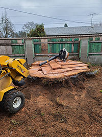 stump